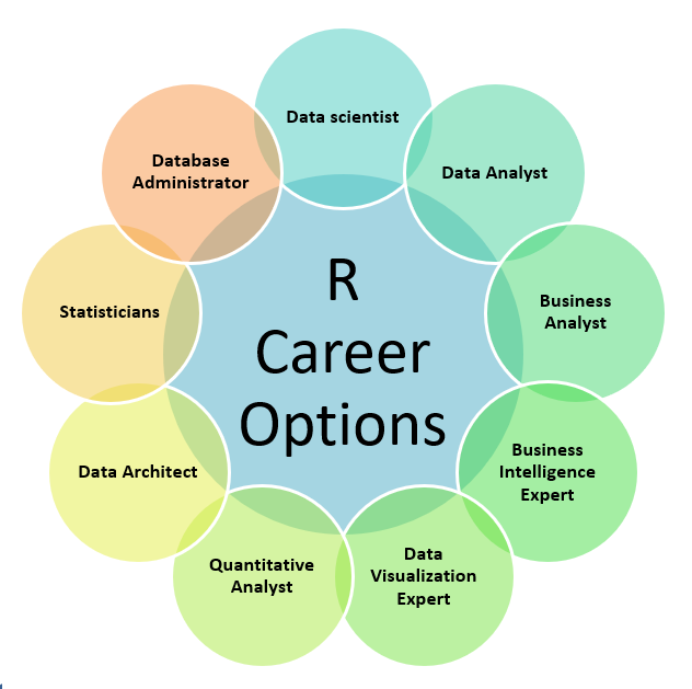 What will be the career options for an R programmer?