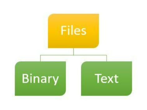 THE FLOWCHART OF IF STATEMENT