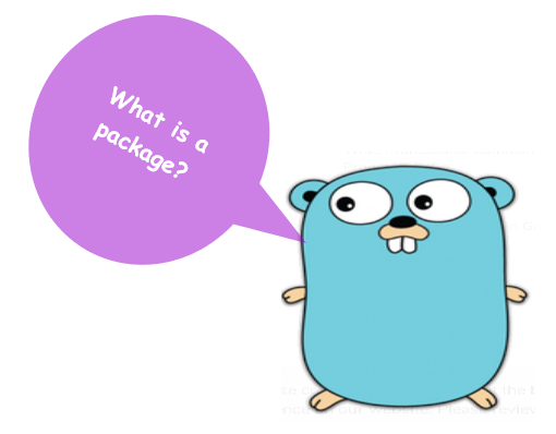 GO : Packages