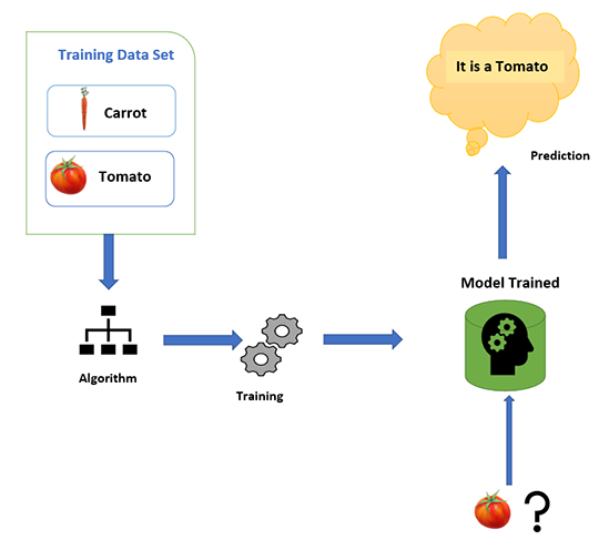 Data collection and inputting data