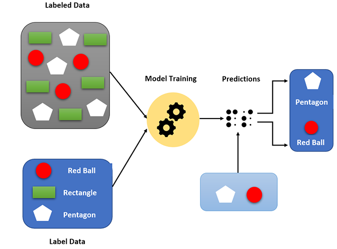 Data collection and inputting data