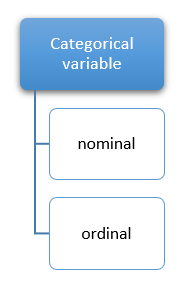 R Factor : categorical var