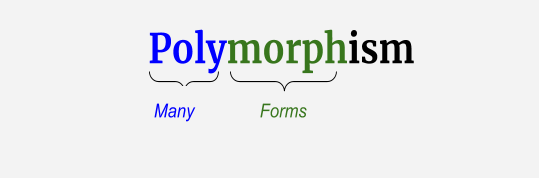Polymorphism in python
